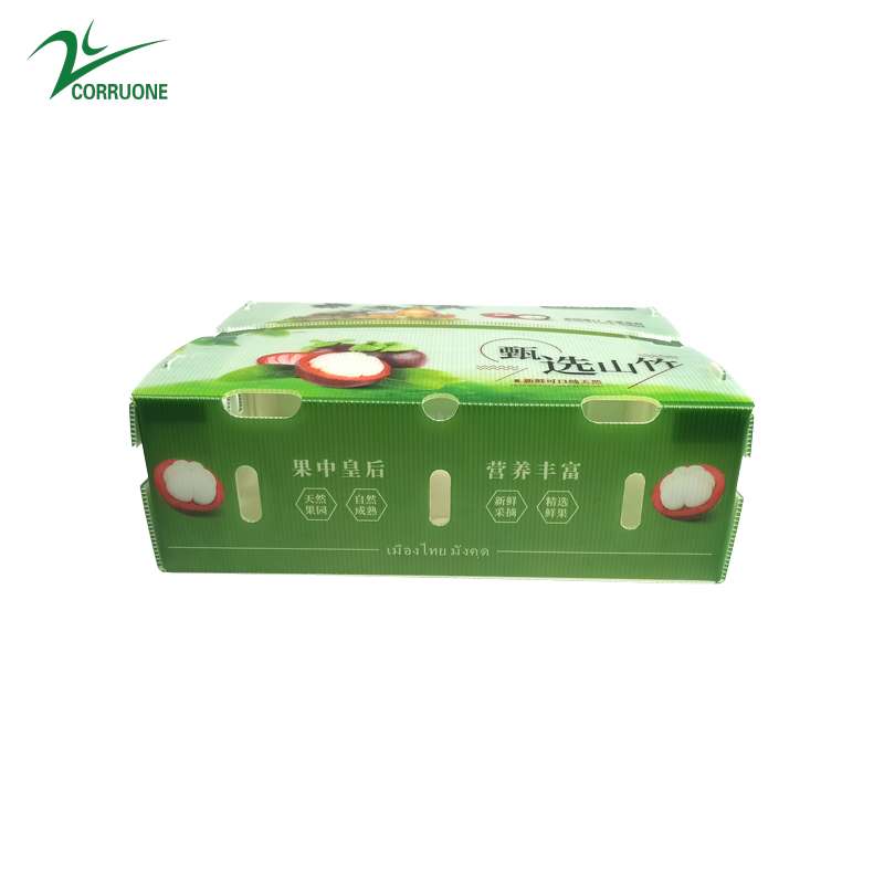 PP Corrugated plastic box vegetable fruit box