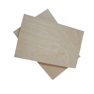 Quality Furniture Material Hardwood 5mm 18mm Birch Faced Plywood wholesale