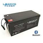 Smart Lithium ion Marine Battery 24v 100Ah Deep Cycle Lifepo4 Batteries for Boat