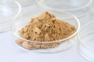 Quality Glucoamylase Beverage Enzyme Improve The Fermentation Degree wholesale