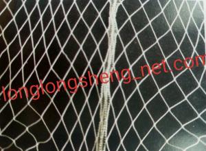 Quality Monofilament White Knotless Net Mesh100mm to 700mm , PES Yarn Sea Fishing Nets wholesale