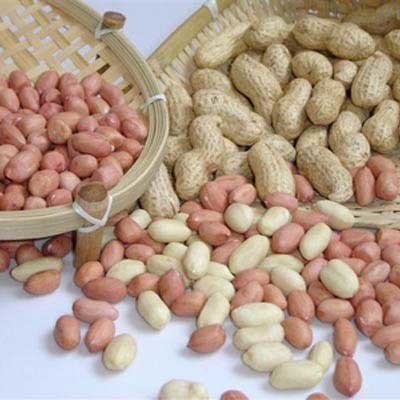 OEM Optical Nuts Color Sorter , 5kw Peanut Color Sorter Machine