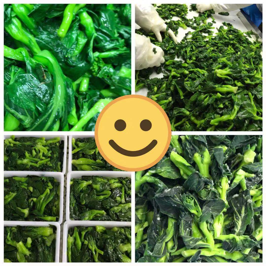 B.Q.F Frozen Rape Flower, 500 grams x 20 bags / carton box for Japan market