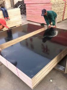 Quality Shandong Linyi Film Faced Plywood Marine Plywood Construction Plywood wholesale