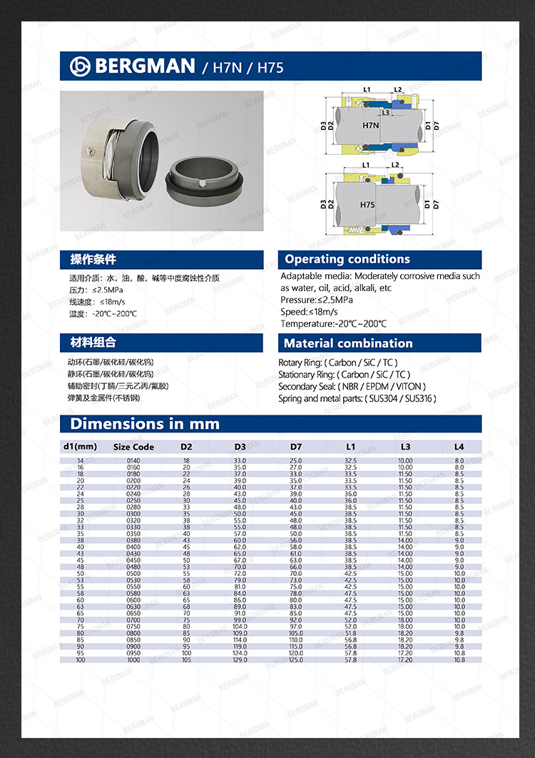 BERGMAN H75 H76 25mm-100mm G60 G4 G6 G9 G13 G16 BS Bo BP Pump Mechanical Seal