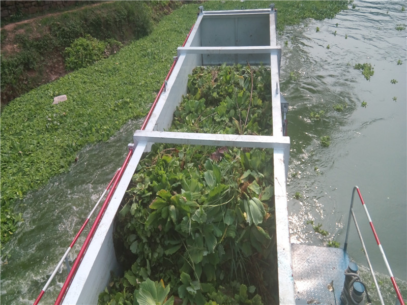 Duckweed Reed 1000m3 Floating Algae Harvester Machine Water Grass Harvester