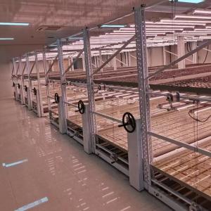 Quality Customization Greenhouse Rolling Benches Included Wheel Lock Width 61cm-178cm wholesale