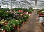 Beautiful Appearance Garden Glass Greenhouse Large Ventilated Area Shouguan