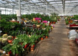 Quality Beautiful Appearance Garden Glass Greenhouse Large Ventilated Area Shouguan wholesale
