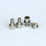T40 Torx 316 Stainless Steel Machine Screws Auto Passivated Salt Spray OEM
