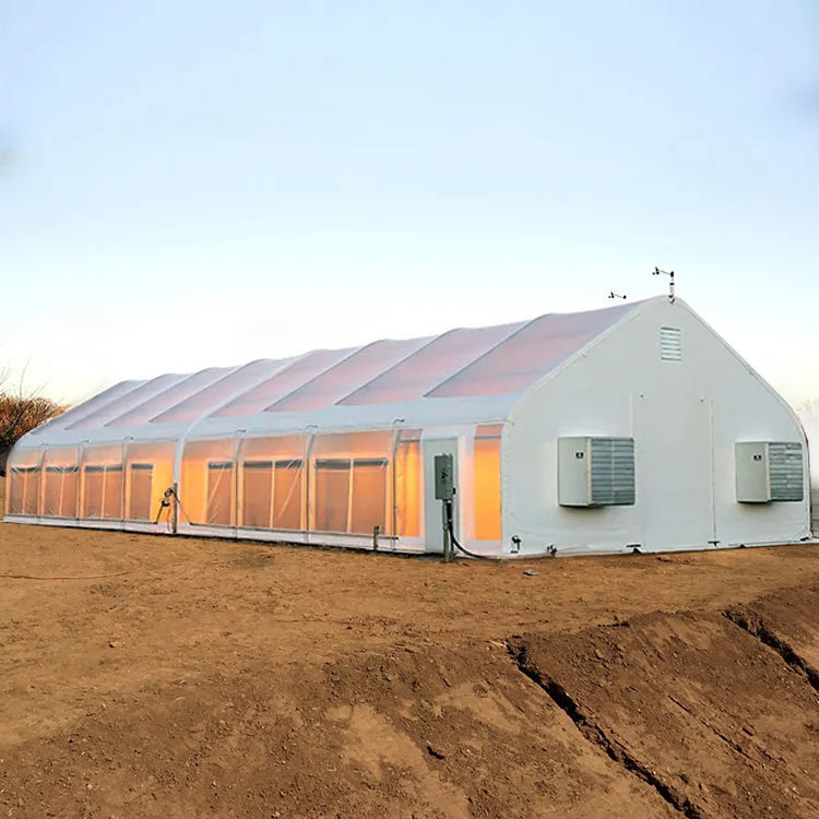 Automatic Polycarbonate Metal Frame Agriculture Greenhouse Blackout For Mushroom Growing
