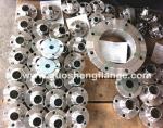 F316L weld neck flange