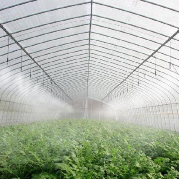 Customized Request Production Greenhouse Agricultural Multi-Span Plastic Tunnel
