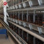54-384 Birds/Set Layer Bird Cage , SONCAP Battery System Of Poultry Farming