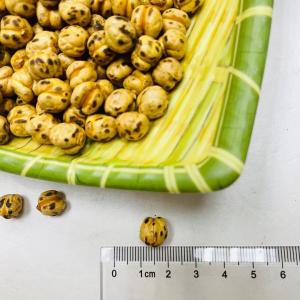 Quality Crispy Delicate Roasted Bean Snacks BRC Yellow Chick Pea Snacks wholesale