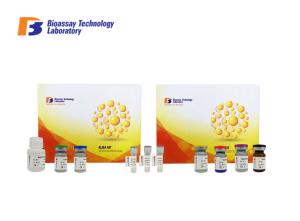 Quality Mouse CCP Sandwich ELISA Assay Kit Anti Cyclic Citrullinated Peptide Antibody wholesale