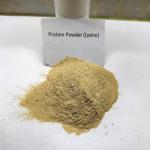 Probiotics Fermentation Brown Poultry Protein Powder Crude Protein 75%