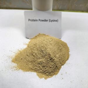 Quality Probiotics Fermentation Brown Poultry Protein Powder Crude Protein 75% wholesale