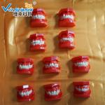 VIC-E8 Ortho Dental Study Models Malocclusions Classification 10 Pieces