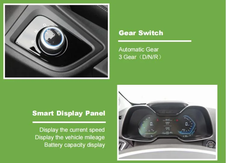Raysince Factory Price High Speed Electric Car China Supplier Hot Sales New Energy Car with Four Seats and and Five Door