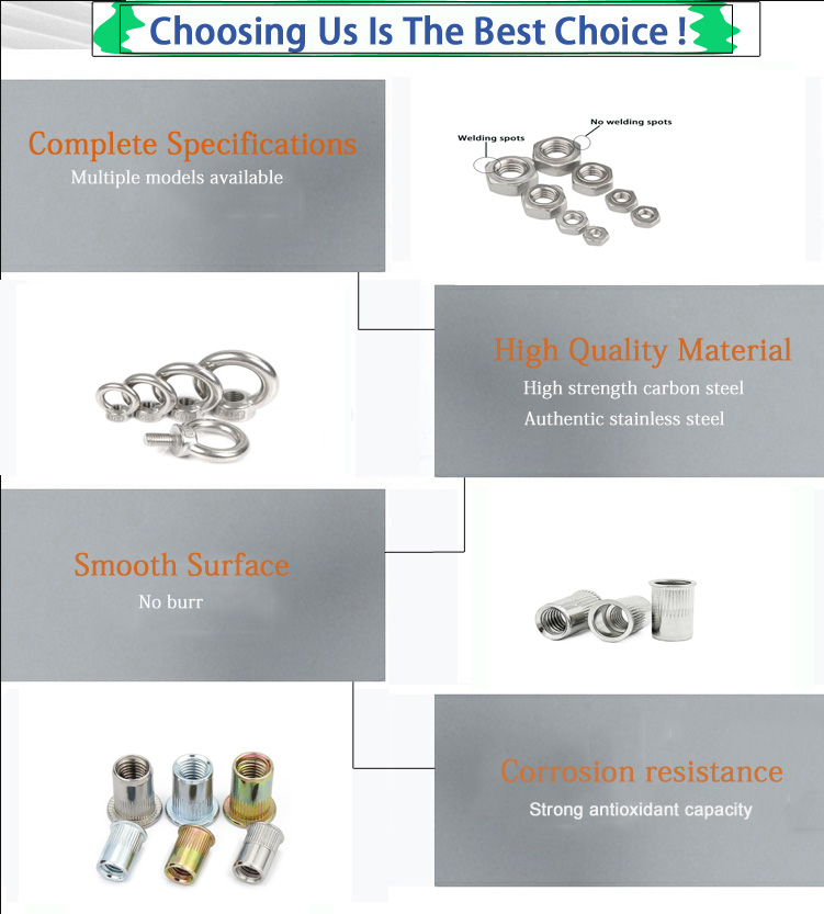 Metric Flat Head Rivet Nut M3 M4 M5 M6 M8 M10 Knurled Stainless Steel for Performance