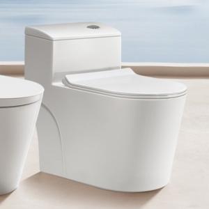 Quality Bathroom Ceramic Siphonic Water Closet Floor Mounted Elongated 725mm wholesale