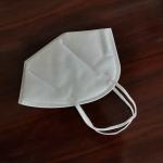 Earloop N95 Disposable Face Mask FDA CE Certified