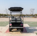Customizable Rechargeable High-end Electric Golf Buggy CE Approved Electric Golf