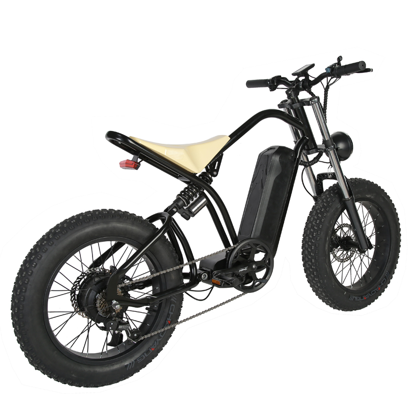 Disc Brake 2023 Style 20" Fat Tire Electric Enduro E-Bike for Off Road MTB Bicycle