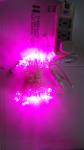 led string light water-proof IP65 for holiday decoration
