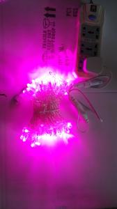 Quality led string light water-proof IP65 for holiday decoration wholesale