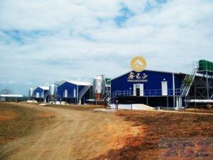 Quality steel layer chicken house wholesale