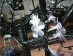 led trees outdoor