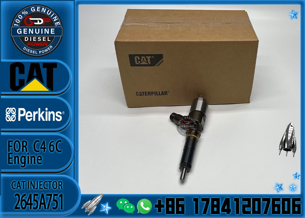 High Quality Professional Densos Gasoline Car Fuel Common Rail Diesel Electric Fuel Injector Assy 2645A751 2645A746 2645