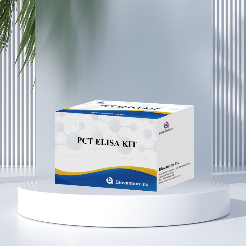 Detection Kit for PCT for human detect reagent for human Serum Plasma