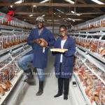 Cold Galvanized Poultry Battery Cage System 40 doors Egg Laying Chicken Cage