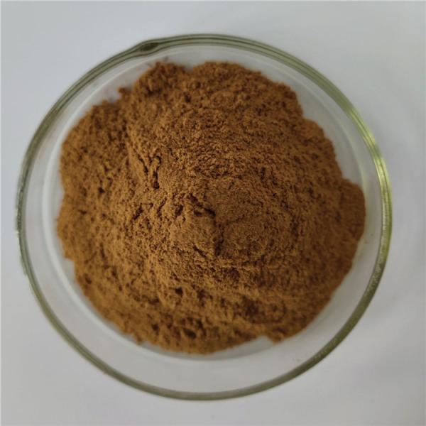 Momordica Grosvenori Extract Momordica Grosvenori Extract
