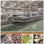 Factory Supply Coated Peanut Roaster Flatbed Oven