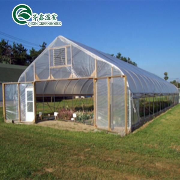 Customizable Size High Tunnel Agricultural Single-span Plastic Film Greenhouse