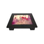 AXNEW 10.4 inch industrial touch monitor DC 12V with IP protection sealing