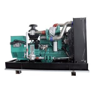 Quality 312.5KVA Cummins Low-Noise Natural Gas Generator for Lpg Gas Power Generation Equipment wholesale
