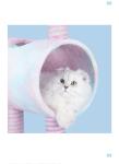 Cute Unicorn Pink Sisal Cat Scratching Post