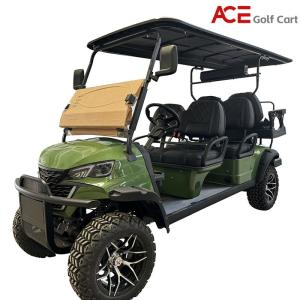 Quality 6 Seater Fully Intelligent Controller Electric Hunting Vehicle For Country Markets wholesale