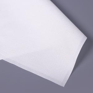 Quality 100pcs 22x22cm Sterile Cleanroom Wipes Aseptic Processing Lint Free Industrial Wipes wholesale