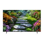 55 Inches Frameless LED Smart TV Multi Interface Living Room