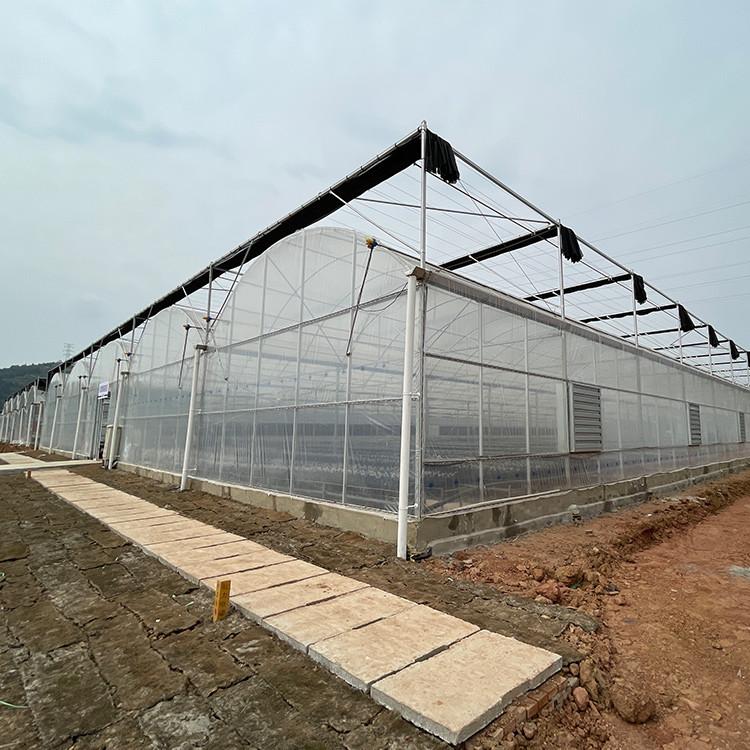 Flowers Planting Agriculture Plastic Film Automatic 9m Multi Span Greenhouse