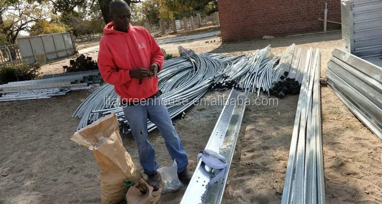 Single Layer Roof and Side Ventilation Namibia Commercial Greenhouse for Tomatoes Farming