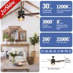 Downrod Mount Remote Control Cage Ceiling Fan 20in With Light
