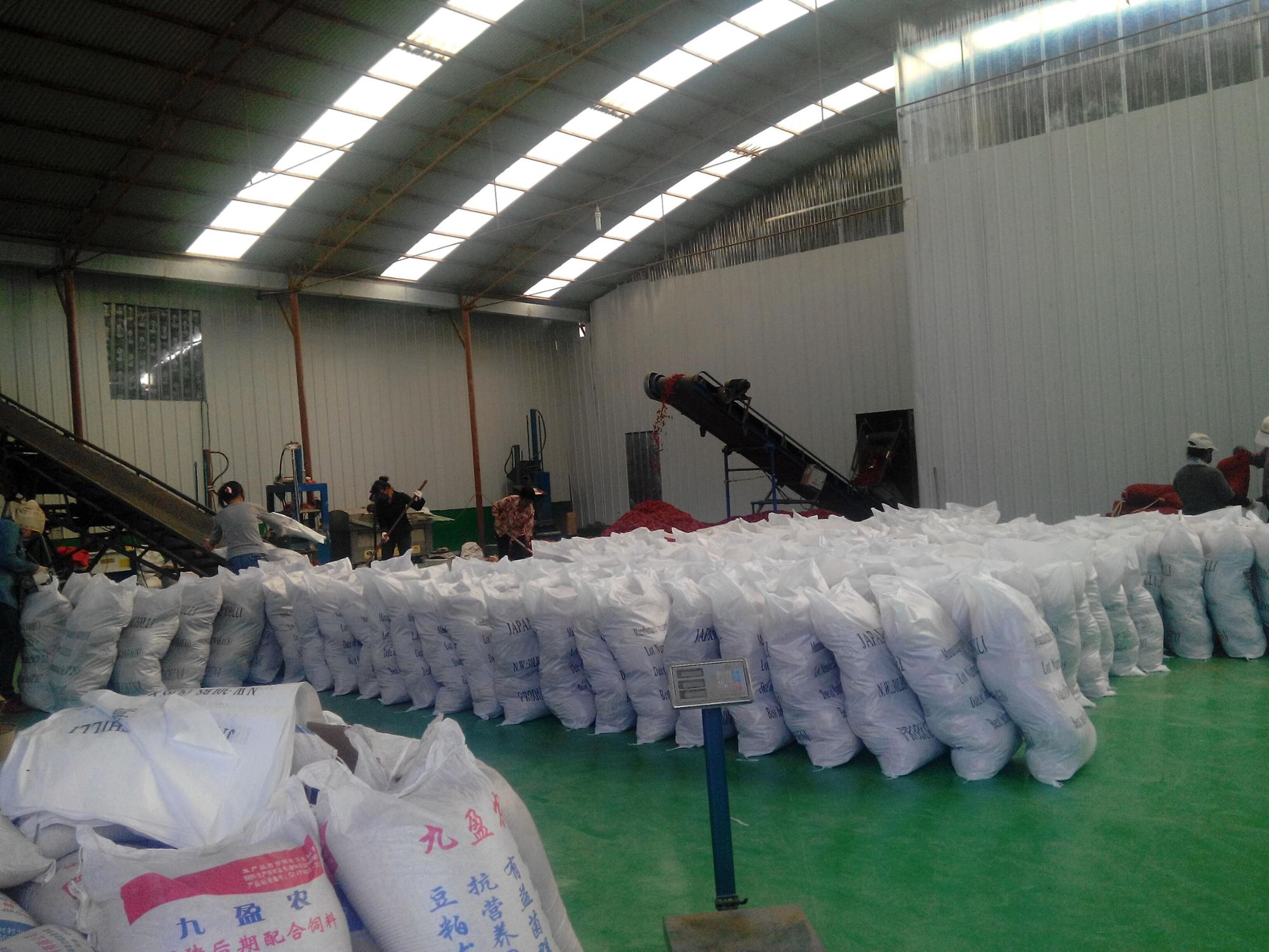 SHU100 Chilli Pepper Powder 8% Moisture Chile Powder For Fruit