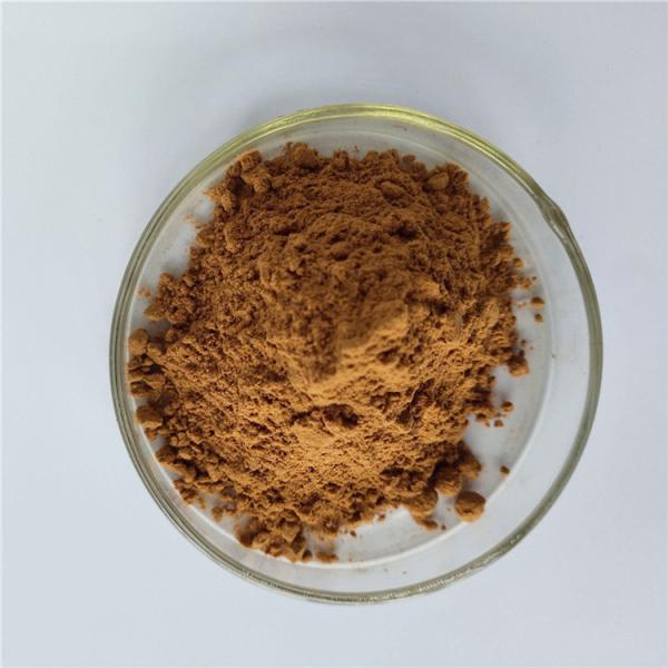 best selling products health care product guava extract for capsules